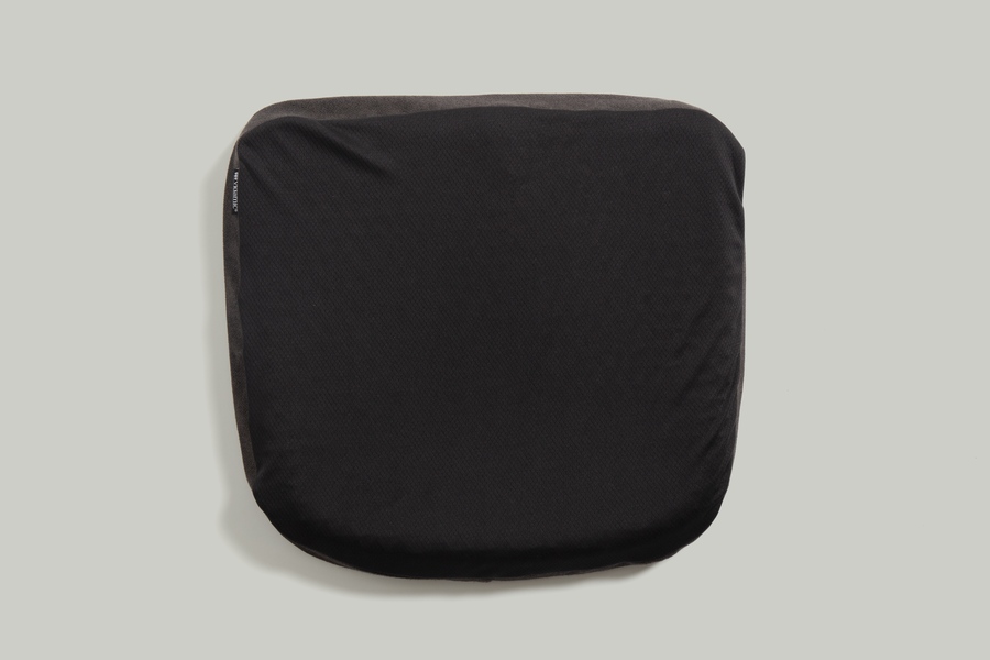 WEB Cushion